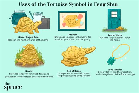 hermes tortoise symbol|what does a tortoise symbolize.